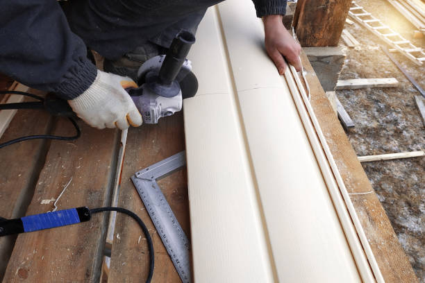 Best Insulated Siding Installation  in West Union, IA