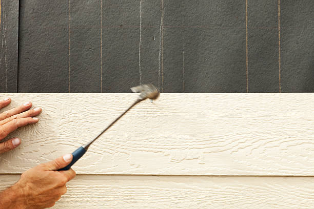 Best Stucco Siding  in West Union, IA